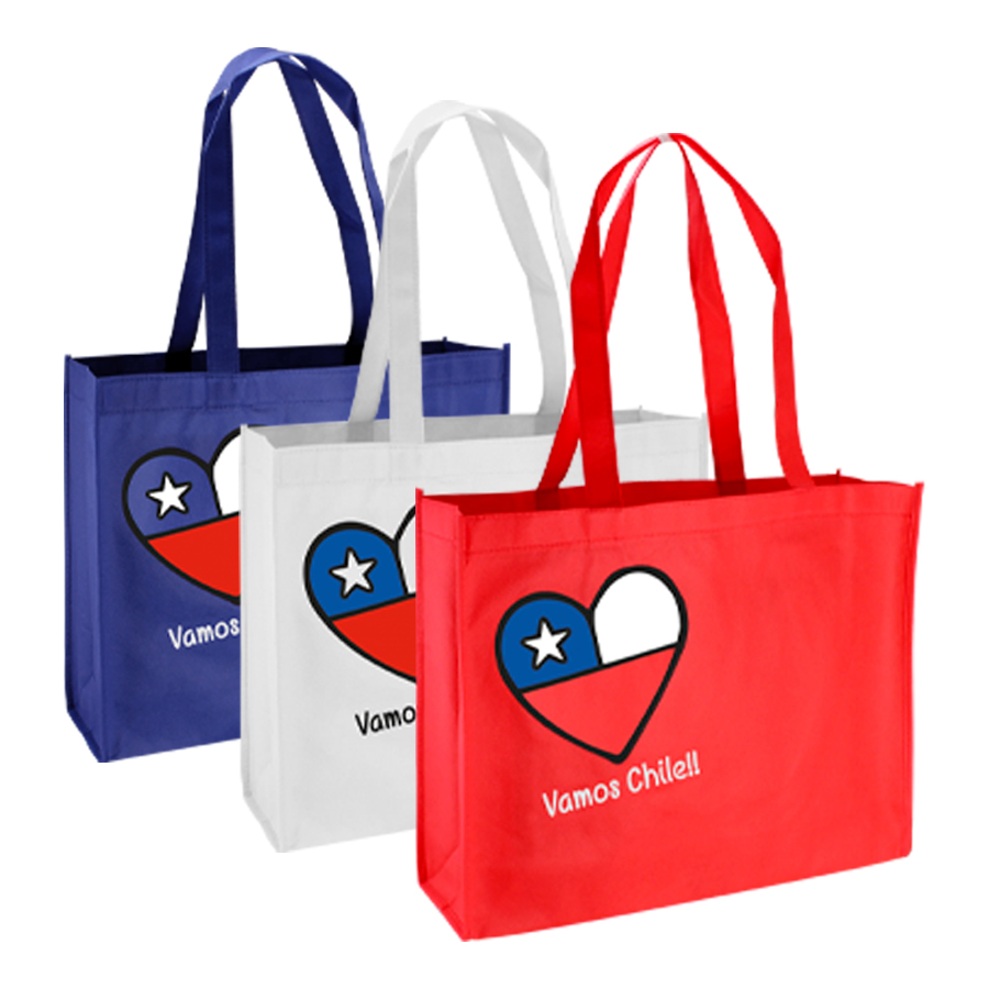 Bolsa TNT Vamos Chile