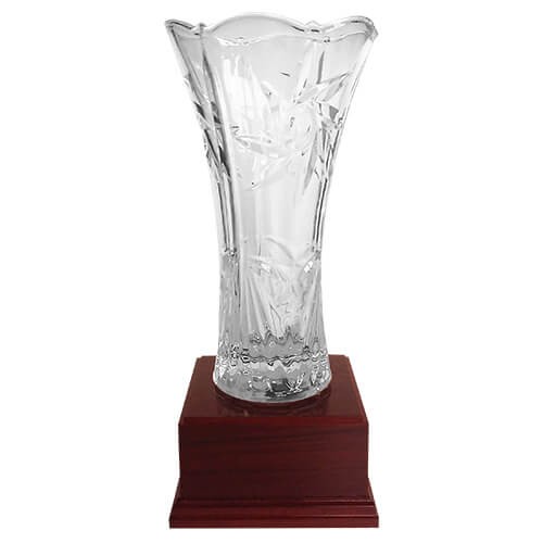 Copa DBR