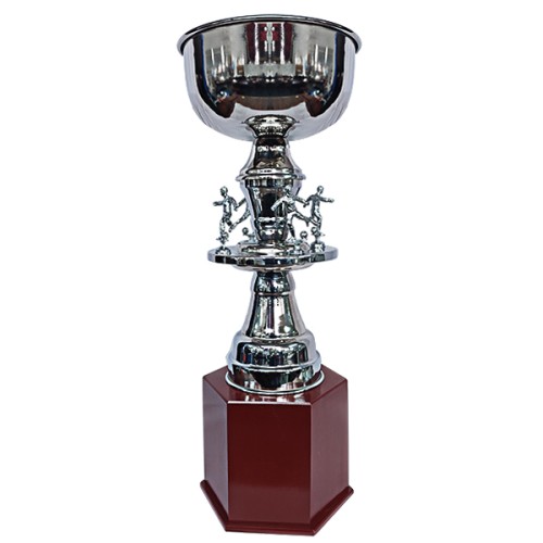 Copa Gran Campeón