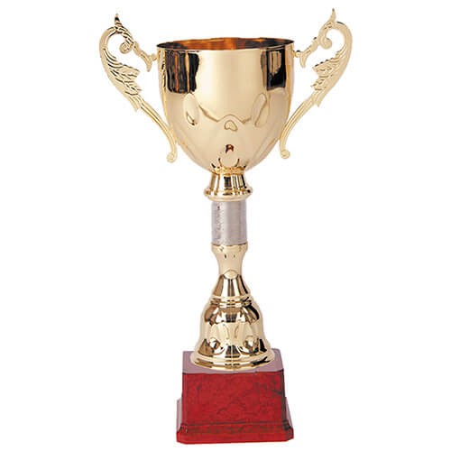 Copa 850