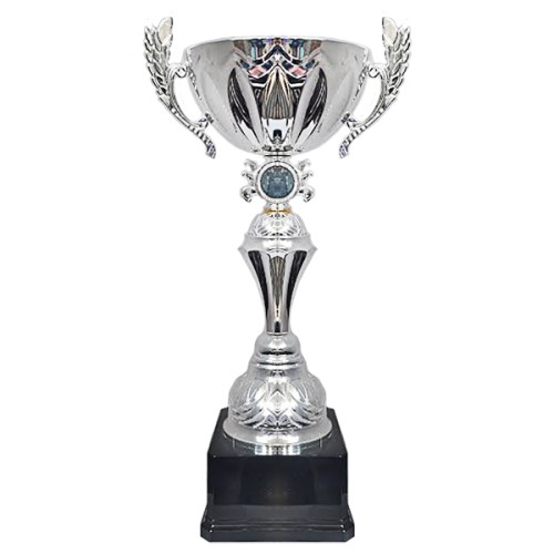 Copa RAF